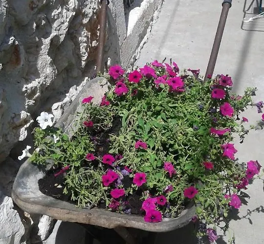 Holiday Gariful Milna (Brac)
