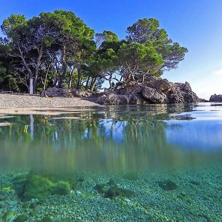 Gariful Milna (Brac)