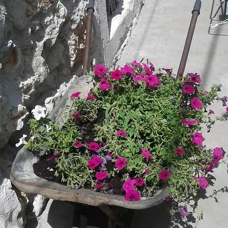 Gariful Milna
