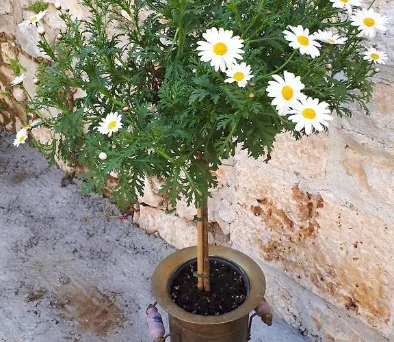 Vila Gariful Milna (Brac)